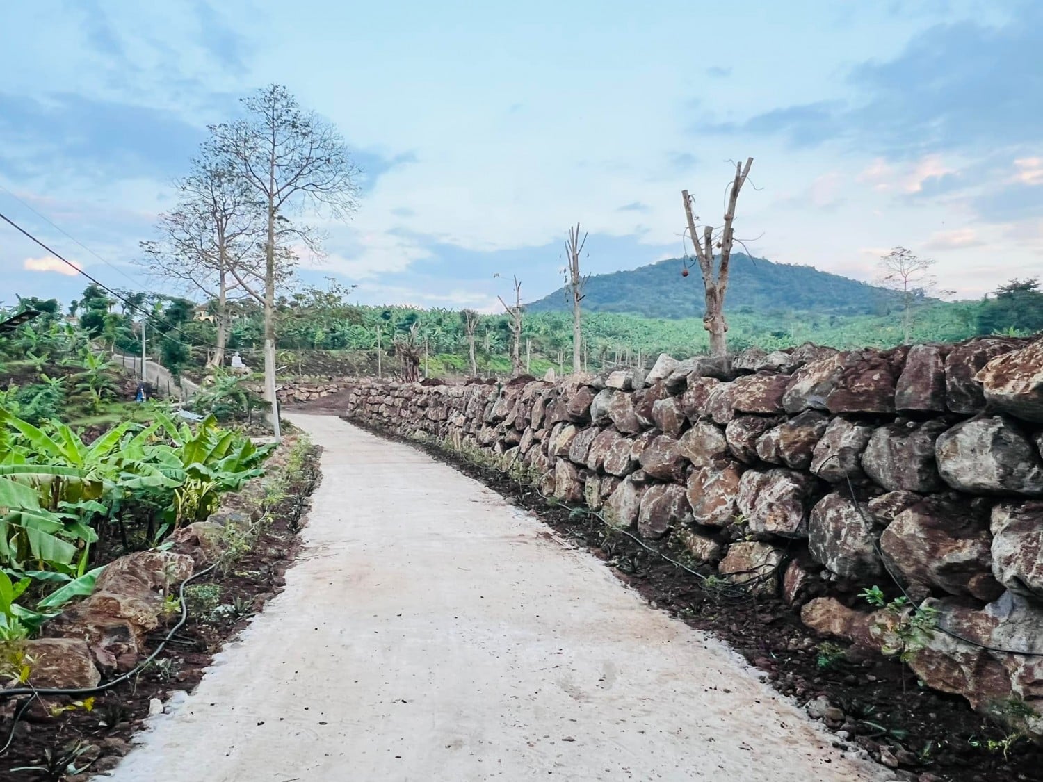 Chùa Đèn Cầy - Ngôi Già Lam nổi tiếng linh thiêng và nhiều công trình văn hóa tâm linh ấn tượng 13