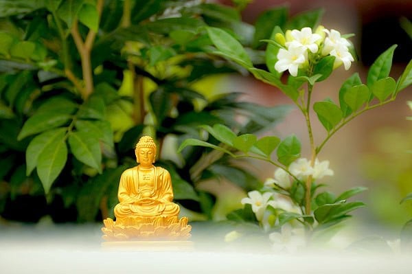 Thế nào là từ bi và trí tuệ? 3