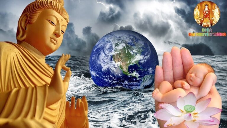 bai sam hoi cho thai nhi 1056 1