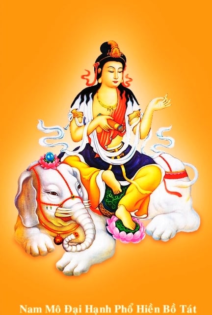 bo-tat-pho-hien-0956 Tên gọi và hình tượng của những vị Phật, Bồ tát thường gặp 11