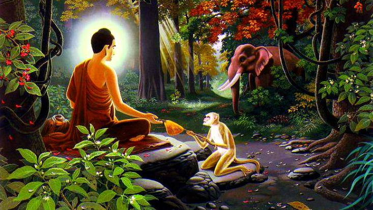 Bố thí Ba-la-mật là gì? Tại sao ta phải thực hành bố thí Ba-la-mật? 2