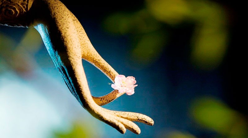 Học cách buông bỏ để sống nhẹ nhàng hơn 1