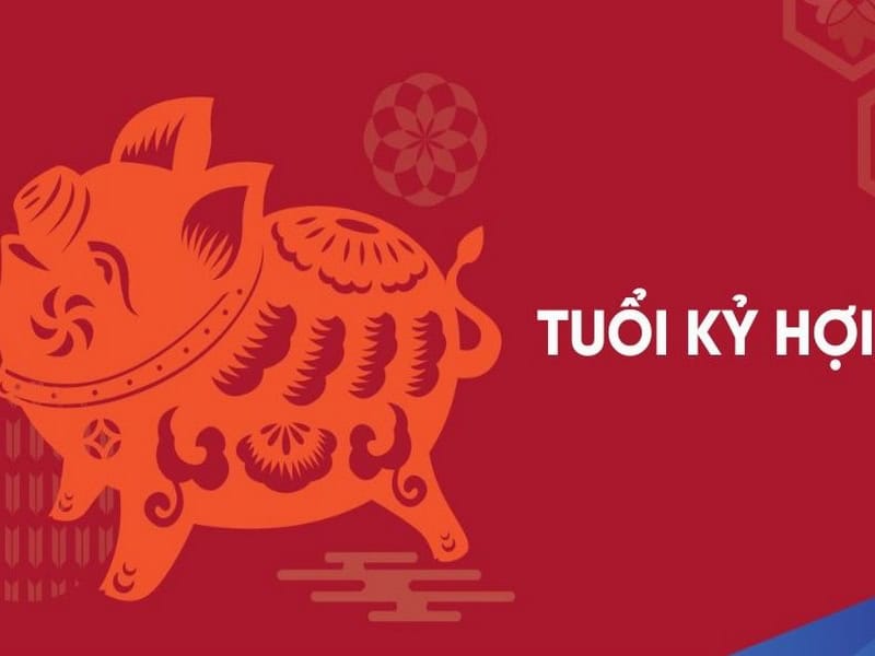 cac yeu to thien can dia chi sao chieu menh anh huong ra sao den van han