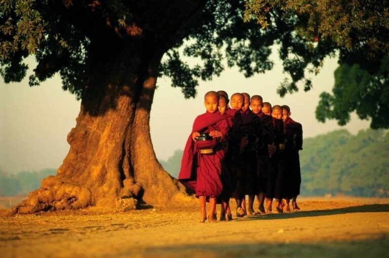 canphatgiaoorgvn 1708 1