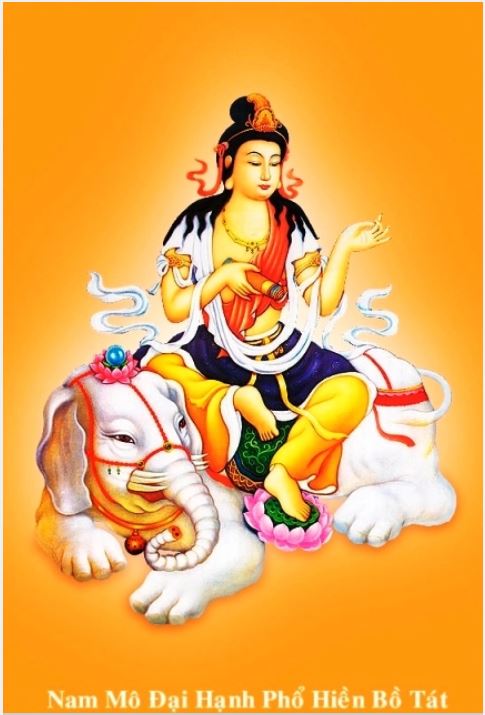 Phật, Bồ Tát là gì? Có bao nhiêu vị Phật, Bồ Tát? 15