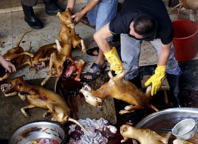 Những câu chuyện về nhân quả báo ứng đáng suy ngẫm 2