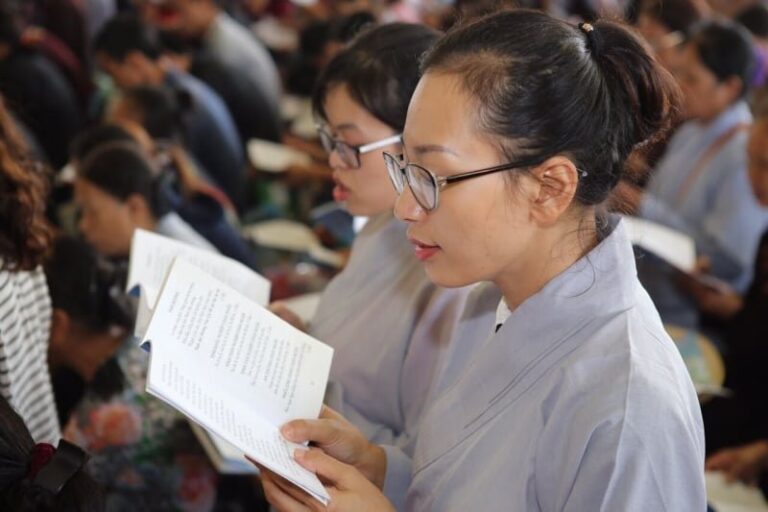 cau ieu pha do gia tien1 1528 1