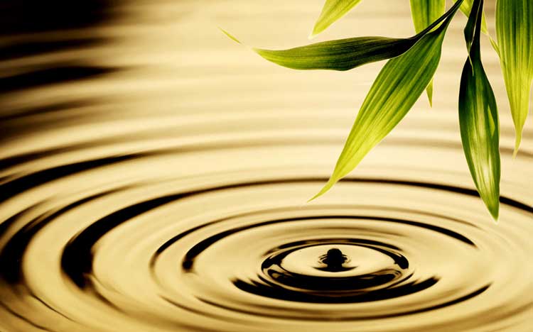 Chính niệm là gì? Vì sao bạn cần chính niệm? 1