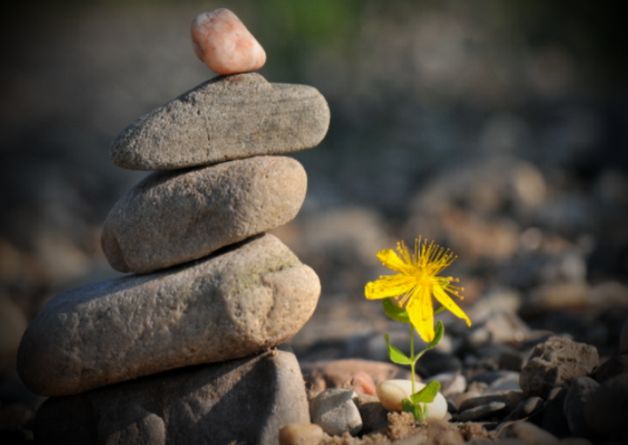 Chấp ngã là nguồn gốc đau khổ 2