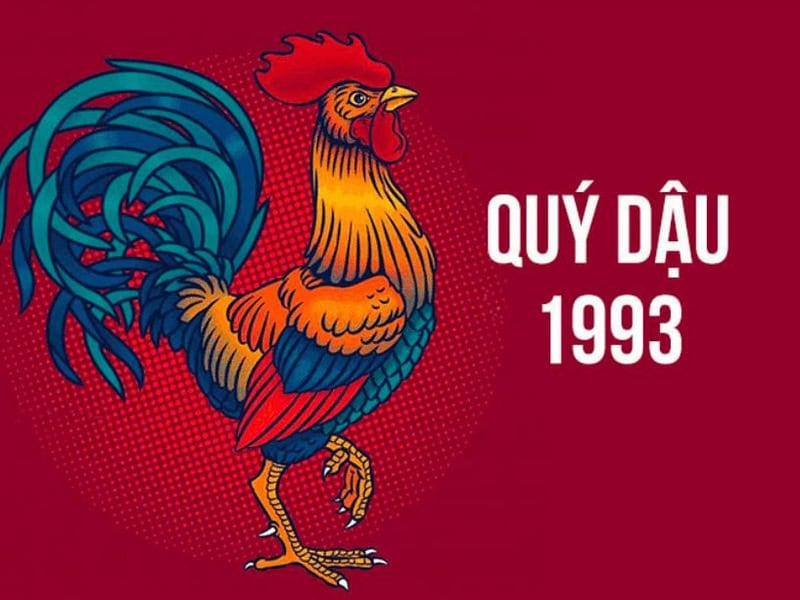 chi tiet tu vi tuoi quy dau nam 2026 nam mang co gi noi bat