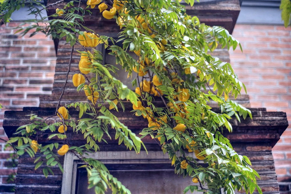 Chùa Bà Đá – ngôi chùa cổ nằm bên hồ Gươm 14