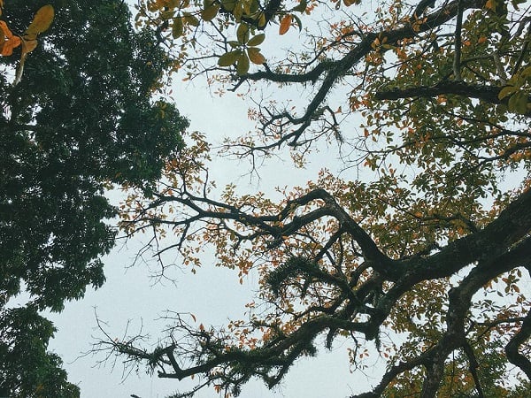 'Vắng tanh như chùa Bà Đanh’ nghĩa là gì? 4