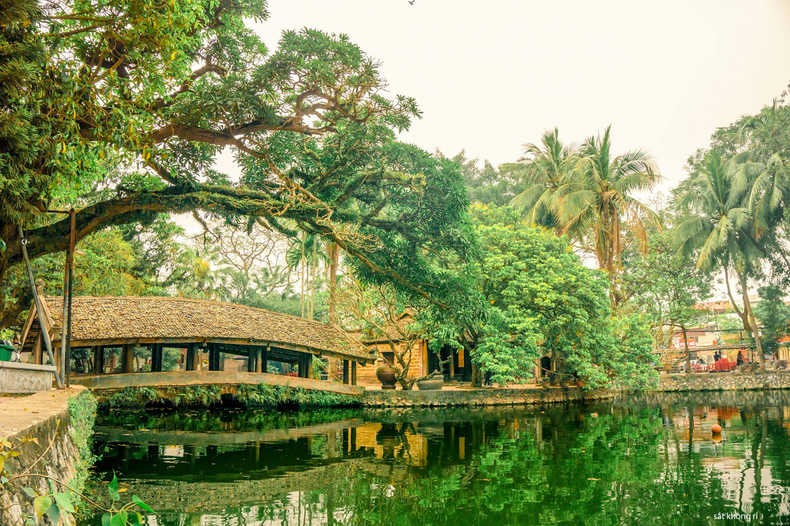 Khung cảnh thanh tịnh của chùa Thầy 10