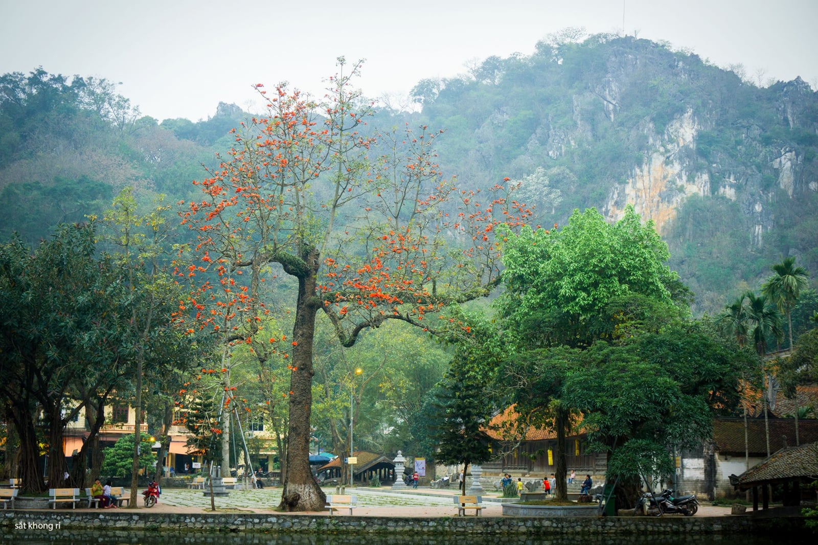 Khung cảnh thanh tịnh của chùa Thầy 11