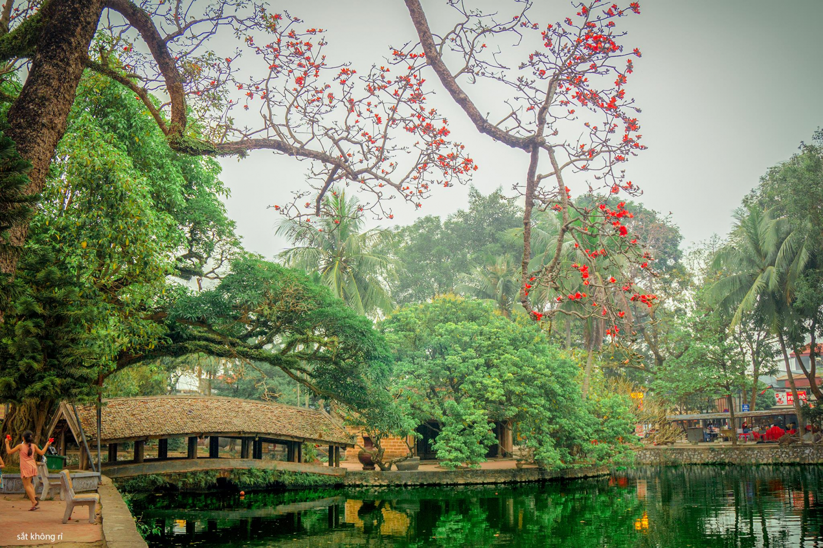 Khung cảnh thanh tịnh của chùa Thầy 9