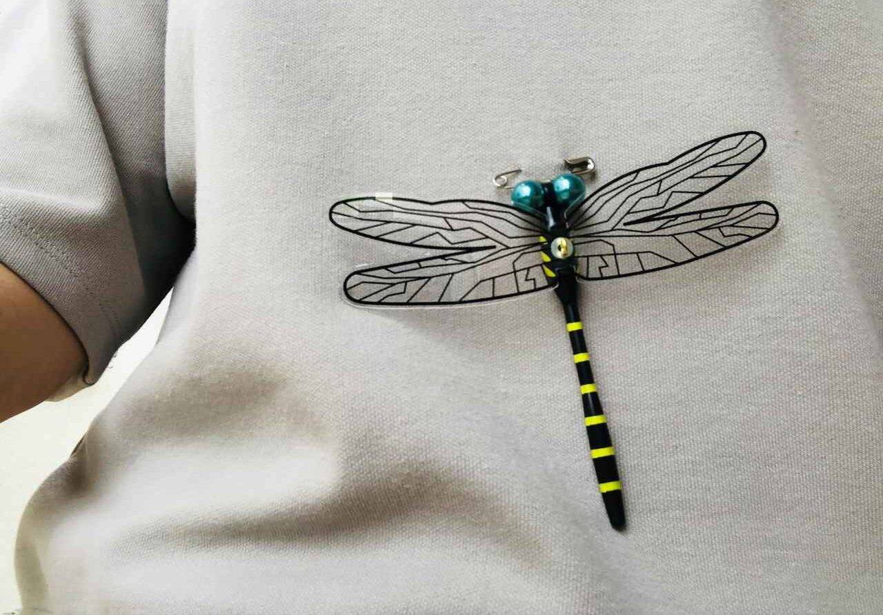 chuon chuon bay vao nha 6 1695711366