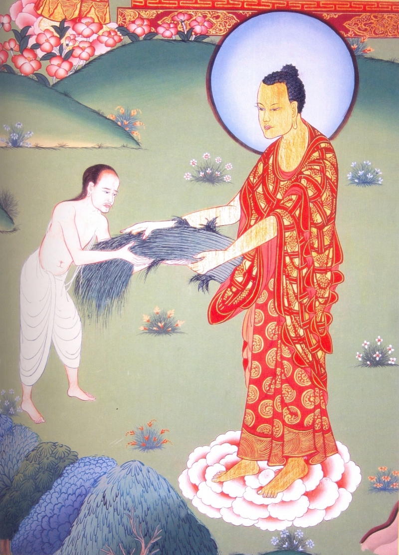 Cỏ Kusa và ý nghĩa thiêng liêng đối với người con Phật 2