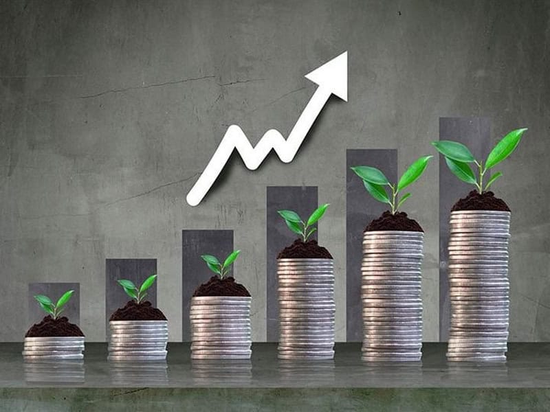 co nen dau tu hay mo rong kinh doanh trong nam nay khong