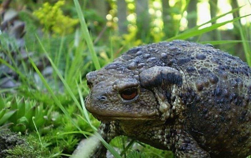 coc vao nha la diem bao 6 1692636999