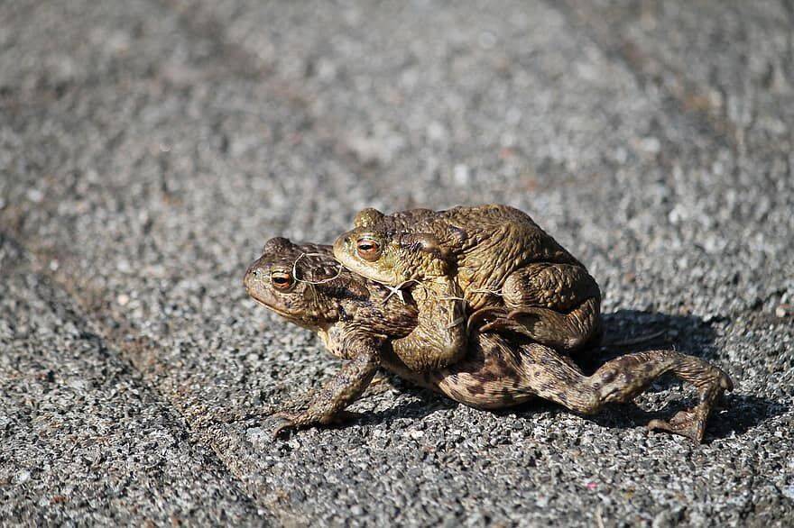 coc vao nha la diem bao 8 1692637017