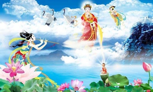 Cõi Cực lạc của Đức Phật A Di Đà có phải ở trong Tam giới không? 2