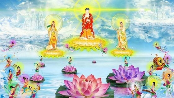 coi cuc lac cua duc phat a di da co phai o trong tam gioi khong 3 1004 0800 1