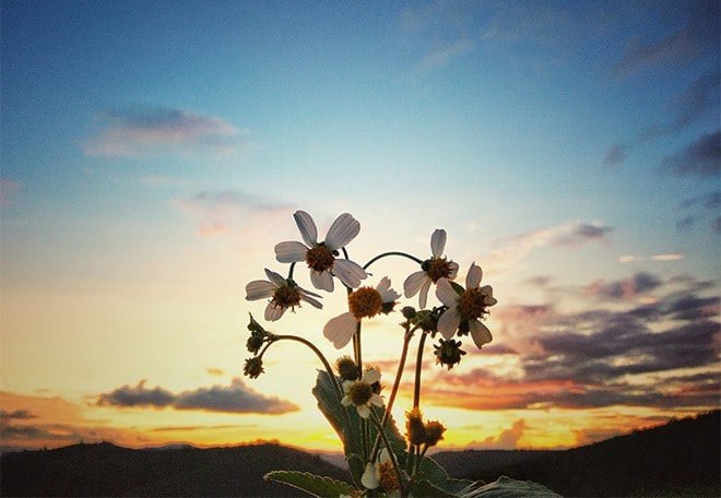 Cuộc đời ngắn ngủi, sao phải hững hờ? 2 cuoc doi khong co qua 3 ngay dung lang phi roi ngay mai om tiec nuoi m8jwaib copy 1606796819 941 width660height456 1008 1