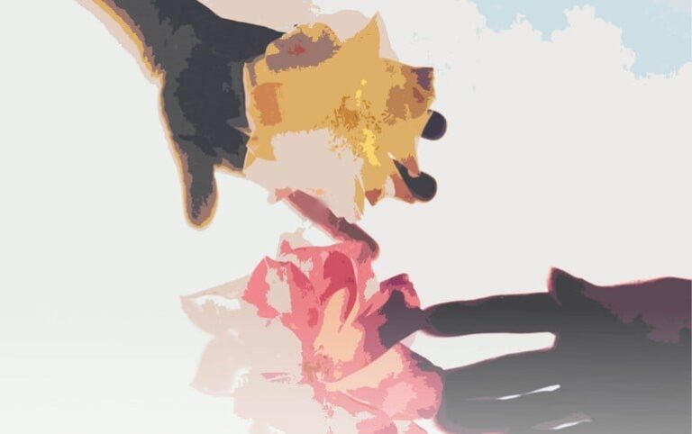 cut oangia 3540 1023 1