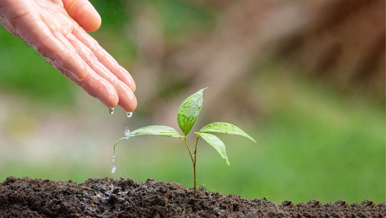 Tại sao phải “phước huệ” song tu? 1