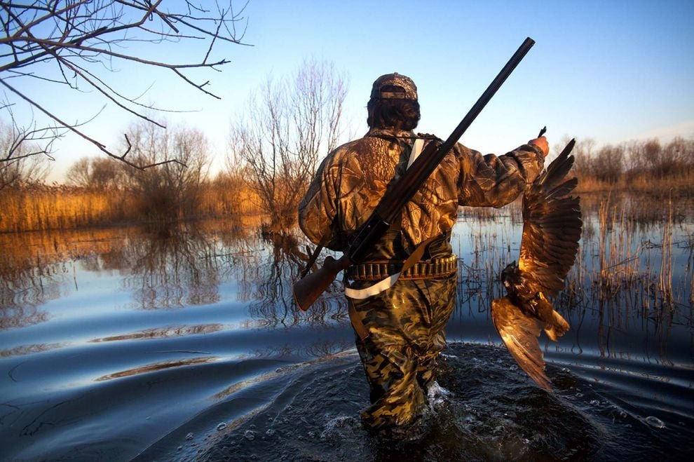 da giet hai sinh vat nay phong sinh co bu tru het toi khong 1 1450 1