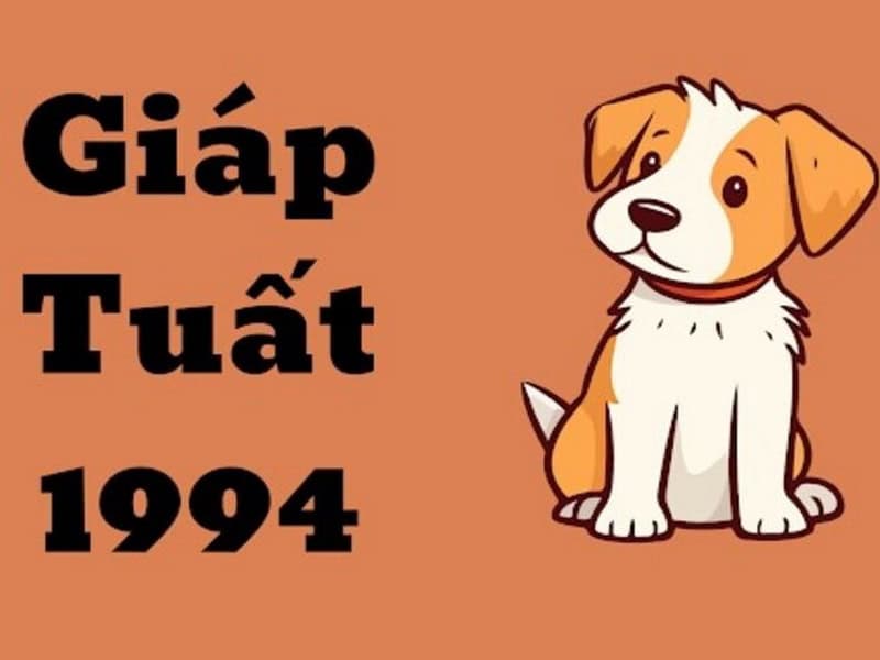 danh gia tong quan van trinh tu vi ca nam cho nu mang tuoi tuat 1994