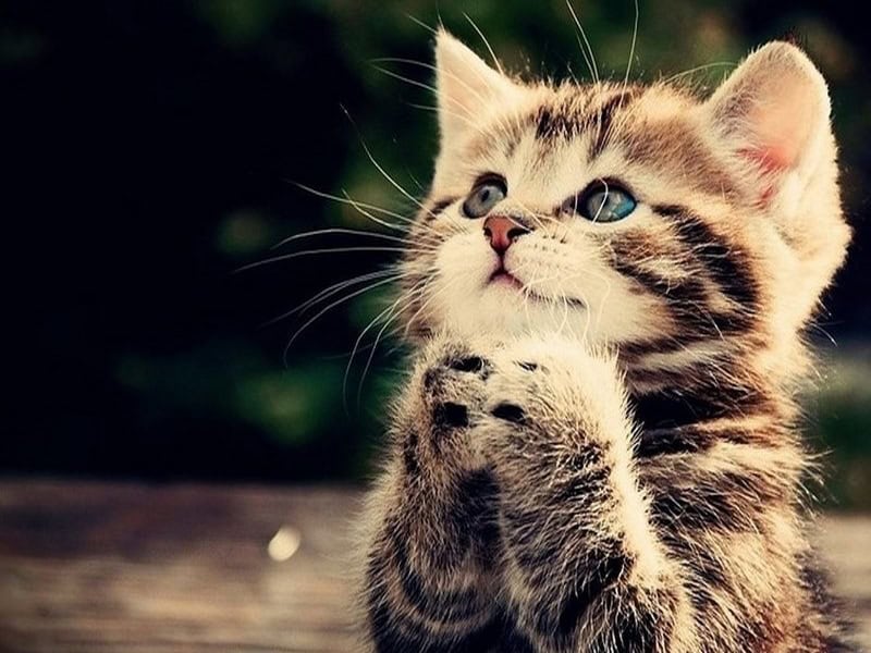 dau la thoi diem suc khoe nu dinh mao de sa sut nhat trong nam