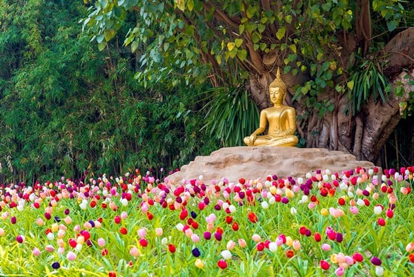 Tổng quan về Kinh Pháp Hoa 4