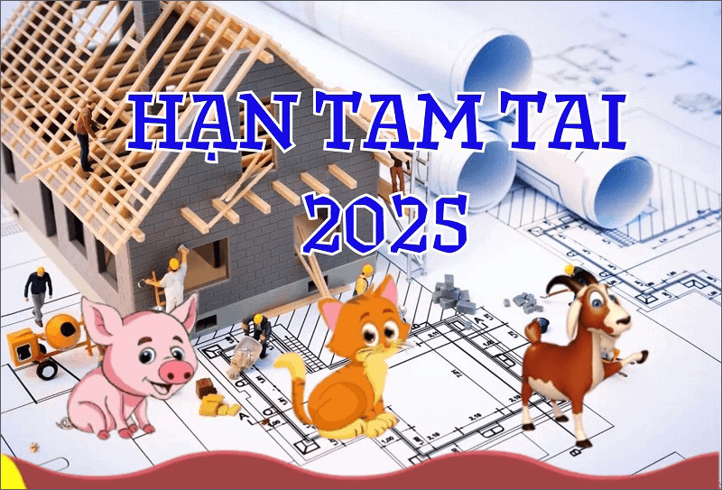Do 2025 pham Tam Tai nen nu Quy Mao phai than trong khi di chuyen xa, dong tho xay nha va mo rong kinh doanh Do 2025 pham Tam Tai nen nu Quy Mao phai than trong khi di chuyen xa, dong tho xay nha va mo rong kinh doanh