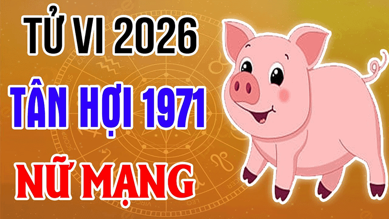 do van han khong tot nen nam 2026 nu tan hoi se gap nhieu bien dong lien quan den suc khoe tai chinh va tam ly 1