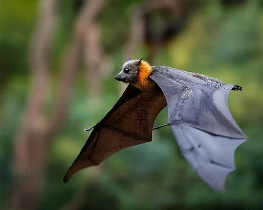 doi bay vao nha 2 1695362532 1