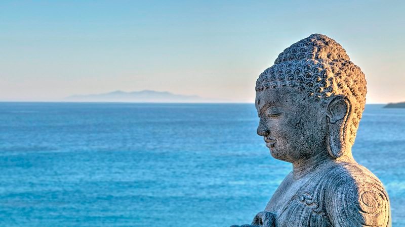 doi tri ngu duc 2116 1