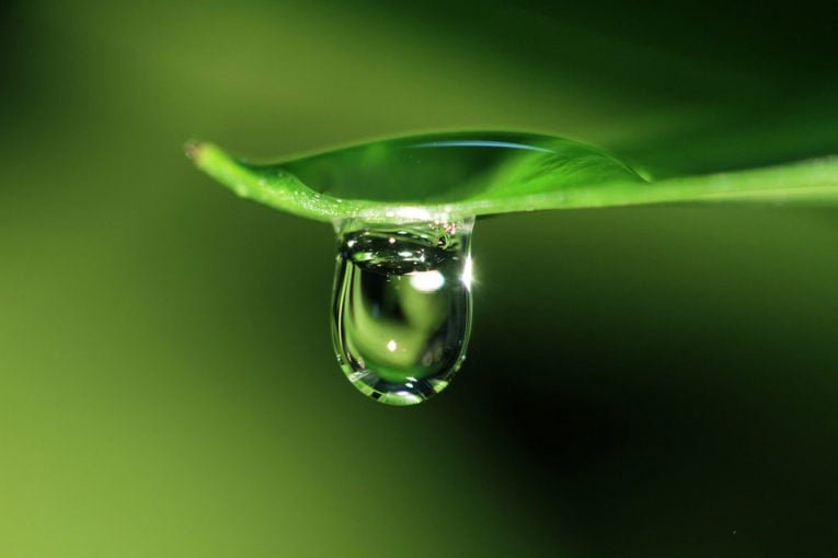 doi vo thuong hay song cho het vo thuong 1 765x510 0857 1