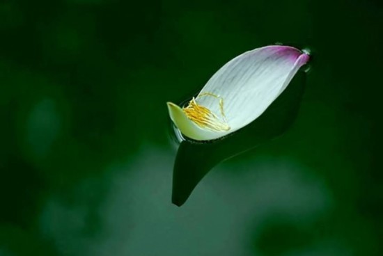 Hiểu đúng về 2 chữ: ''Tùy Duyên'' 1