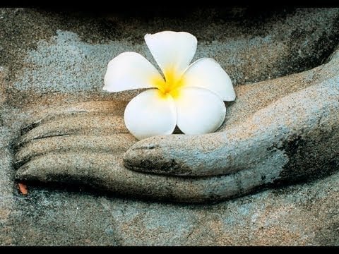 duyenphatgiaoorgvn 1011 1