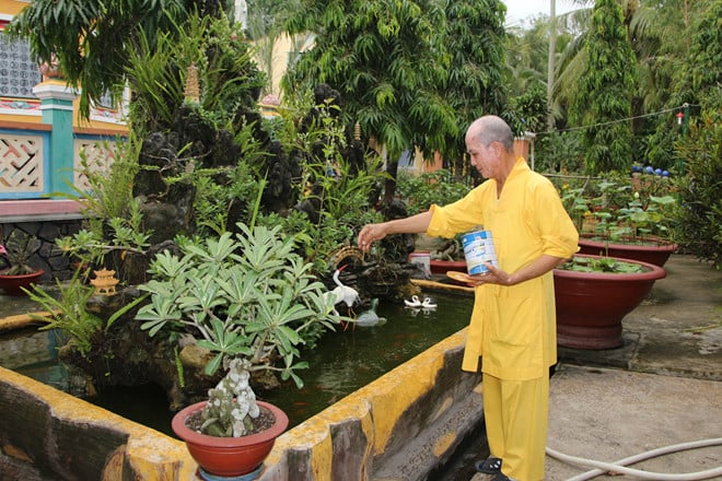 Già Lam Cổ Tự: Ngôi chùa có hàng trăm pho tượng chỉ một thầy trụ trì trông nom 2