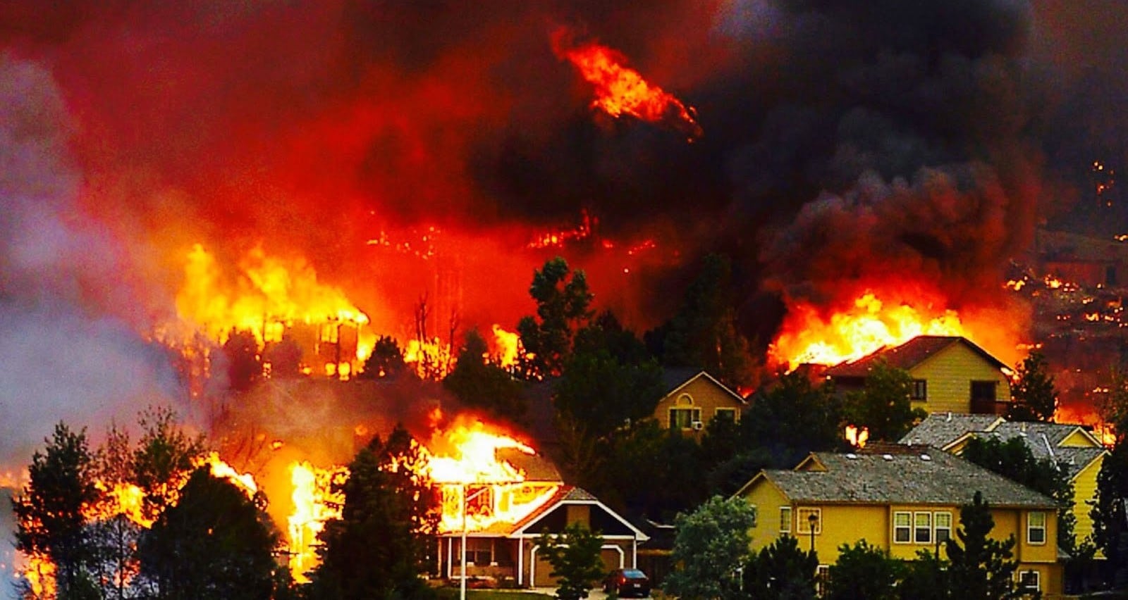 giai thich ve nhung giac mo thay lua diem bao gi sap den 1