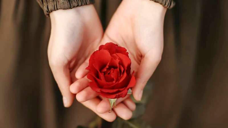 hanh phuc la con duong 3 2243 1