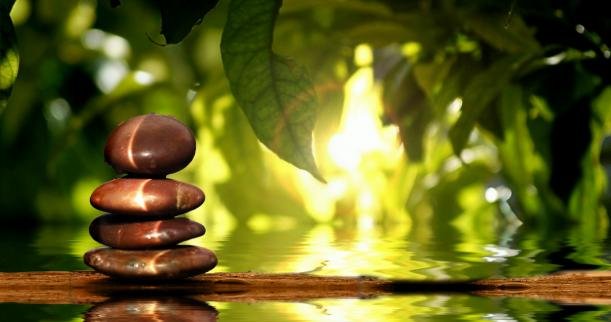 Phân biệt Căn, Trần, Thức và Thân, Thọ, Tâm, Pháp trong Phật giáo 2 hieu ve than tho phap 1909 1