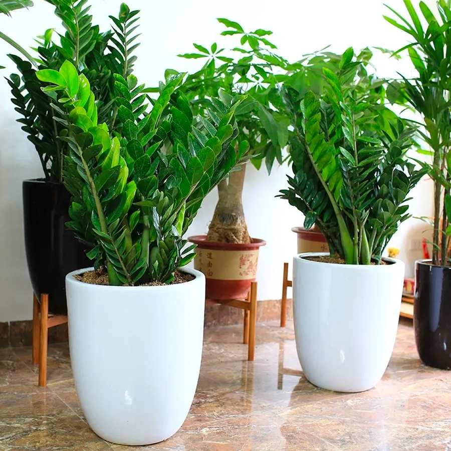 hoa giai chi tiet so menh vo chong khi gap ngu biet ly luc tuyet mang nhi ban tien 10