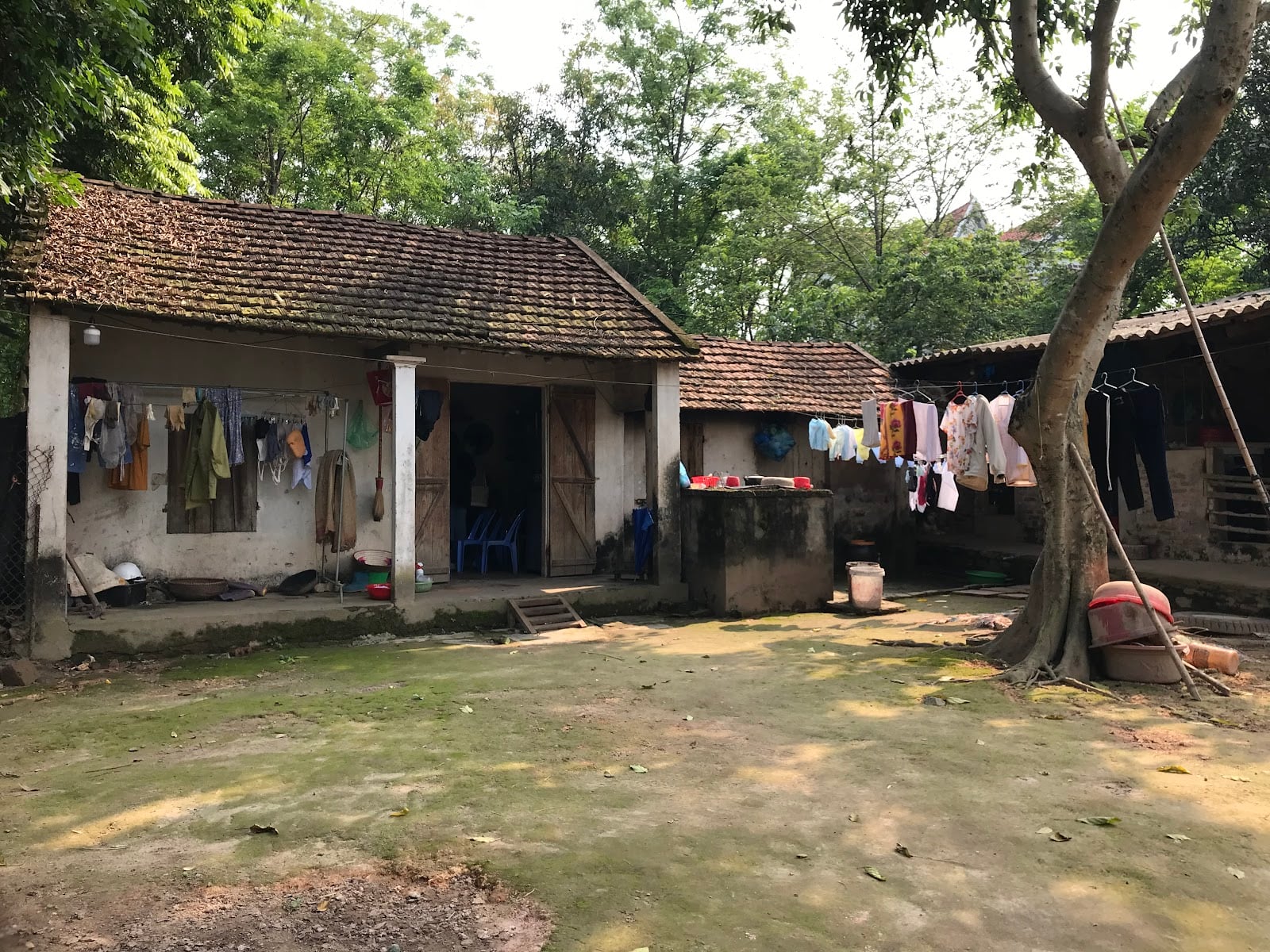 hoa giai chi tiet so menh vo chong khi gap ngu biet ly luc tuyet mang nhi ban tien 8