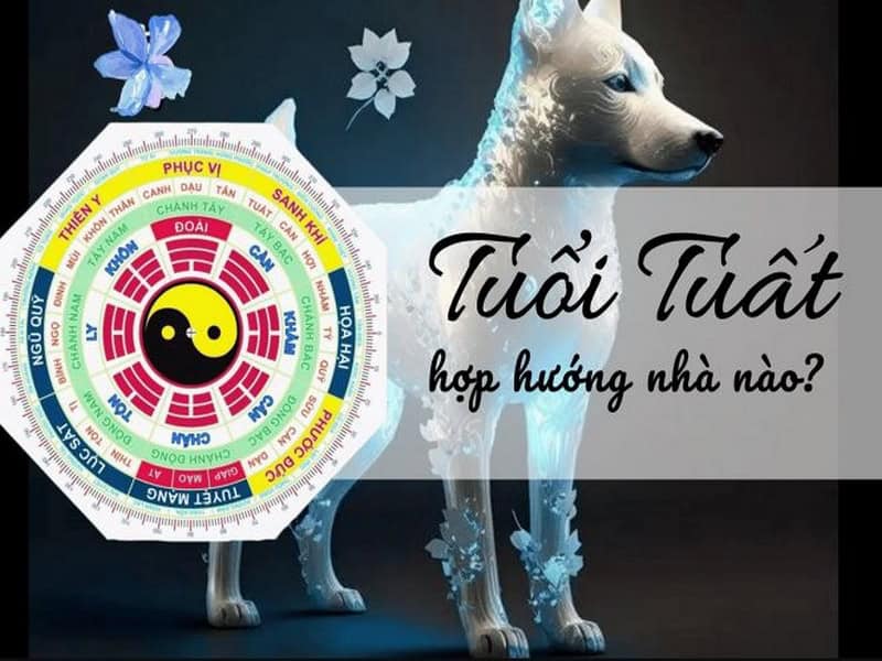 huong nha mang lai may man cho nguoi tuoi mau tuat