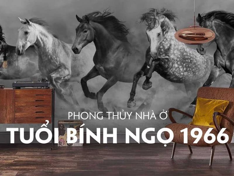 huong nha nao tot cho nguoi sinh nam 1966 menh thuy
