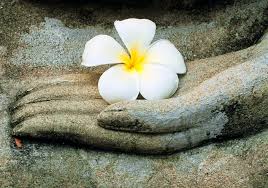 Con tôi, tài sản của tôi? 3