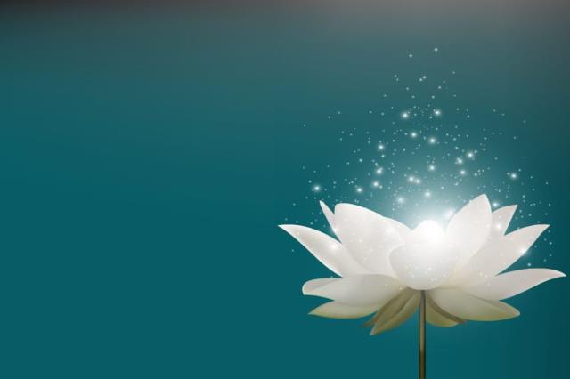 Nghiệp báo là gì? 3